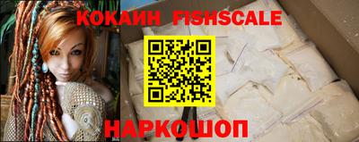 стаф Гай