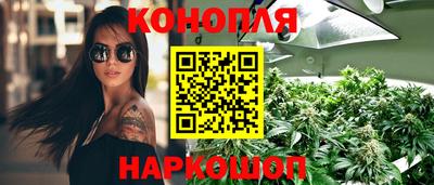 СК Гатчина