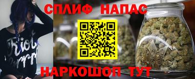 СК Гатчина