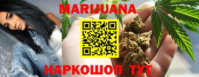 стаф Гай