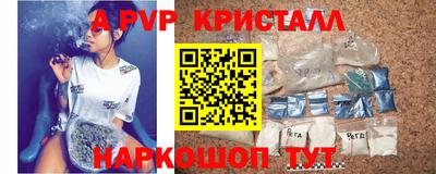 СК Гатчина