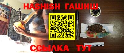 стаф Гай