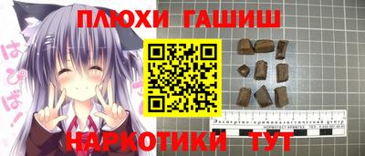 СК Гатчина