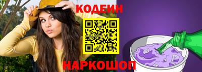 СК Гатчина