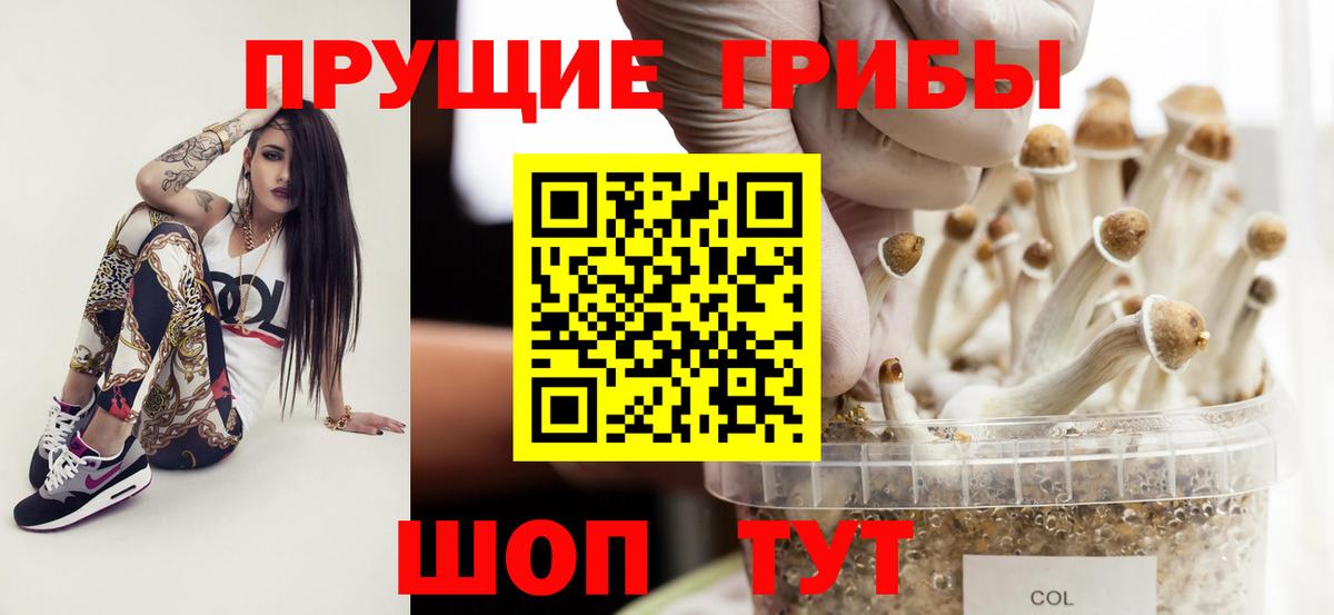 Галлюциногенные грибы мицелий  Вход с VPN  Грязи 