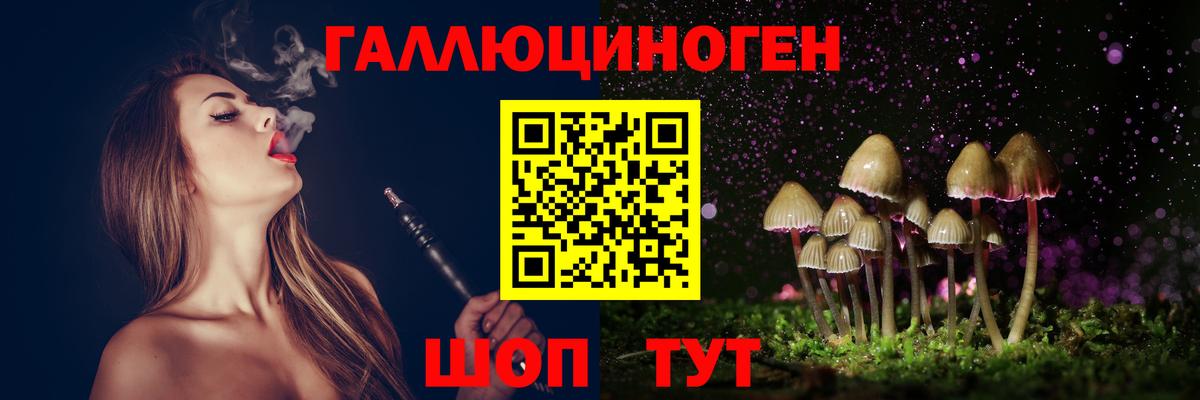 Галлюциногенные грибы Psilocybe Грязи